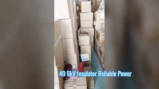 자세히 살펴보기: 40.5kV 고전압 에폭시 수지 절연체 쉴드 스파우트 부싱 660mm 높이