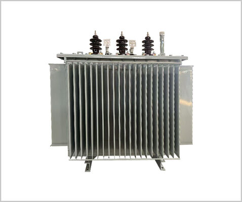 11kv/800kVA 3단계 오일 잠수 전력 트랜스포머